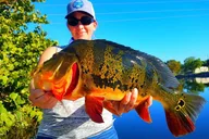 Boynton Beach Peacock Bass Fishing Trip thumbnail 3