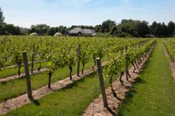 New York City Hamptons and Sag Harbor Day Trip thumbnail 5