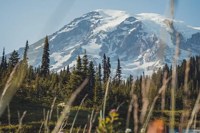 Seattle Mount Rainier Private Day Tour - Image 4