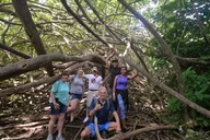 Honolulu Waterfall Hike thumbnail 5