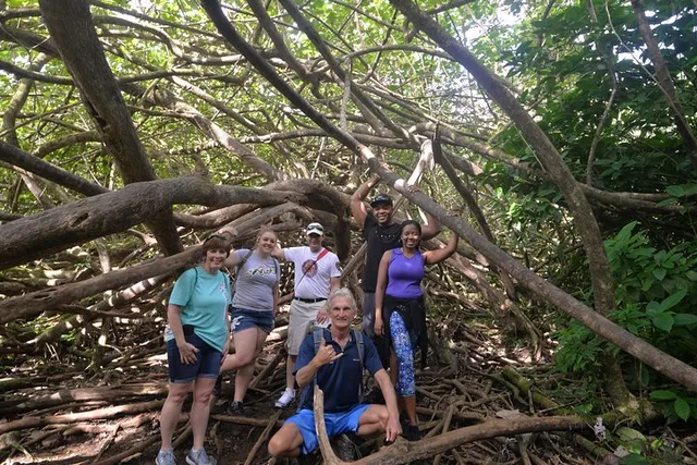 Honolulu Waterfall Hike - Image 5