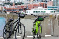 San Francisco City Highlights eBike Tour thumbnail 6