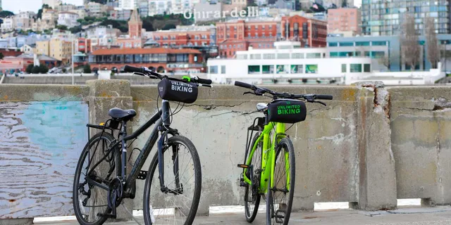 San Francisco City Highlights eBike Tour - Image 6