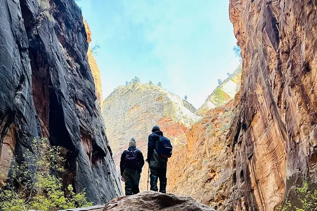 Zion National Park Guided Hike in The Narrows - Image 4