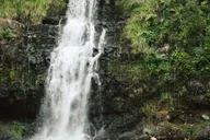 Big Island Waterfall Tour with Swimming and Botanical Garden thumbnail 3