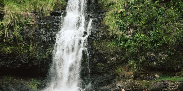 Big Island Waterfall Tour with Swimming and Botanical Garden - Image 3