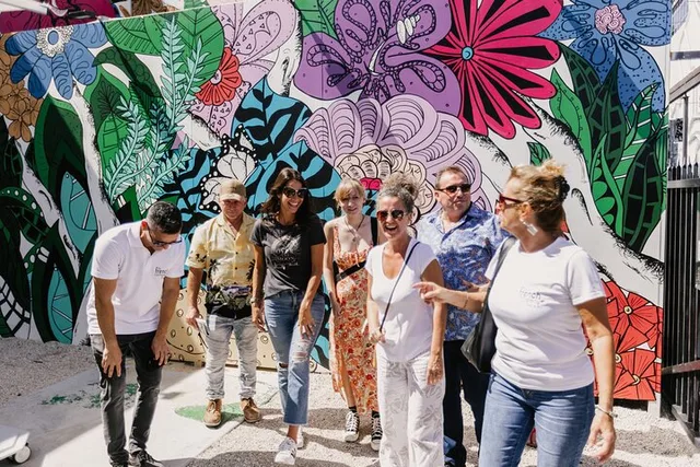 Miami Wynwood Street Art Tour in French 2 hr - Image 1