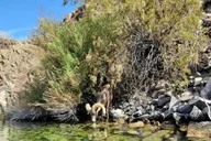 Las Vegas Emerald Cave Kayak Tour thumbnail 6