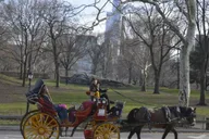 New York Central Park Horse-Drawn Carriage Ride thumbnail 4