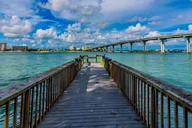 Orlando Clearwater Beach Dolphin Cruise Day Trip thumbnail 6