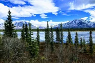 Anchorage Alaskan Highlights Tour Denali to Kenai Fjords thumbnail 5