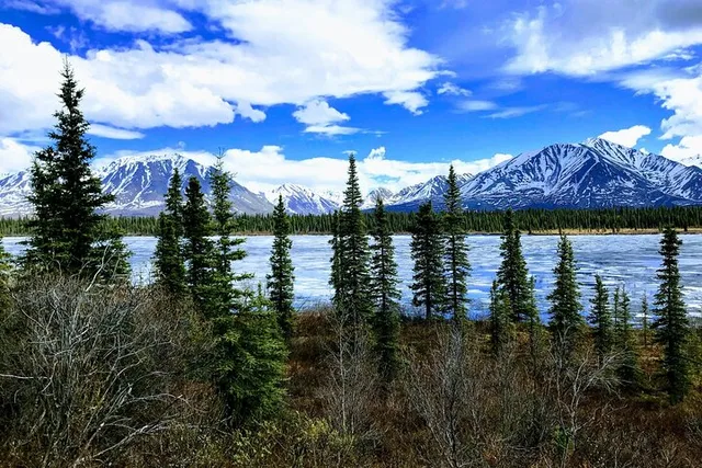 Anchorage Alaskan Highlights Tour Denali to Kenai Fjords - Image 5