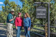 Mesa Verde Cultural Tour - Half Day thumbnail 6