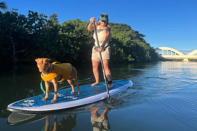 Haleiwa Paddle Board with Rescue Dogs 90 min - Image 2