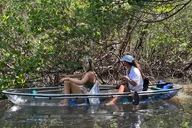 Naples Clear Kayak Eco Tour thumbnail 6