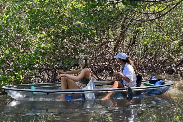 Naples Clear Kayak Eco Tour - Image 6