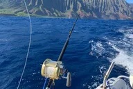 Honolulu Deep Sea Sport Fishing Tour thumbnail 4