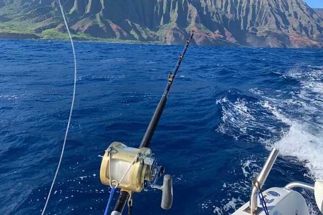 Honolulu Deep Sea Sport Fishing Tour - Image 4