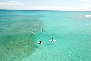 Waikiki Beach Surfing Lessons