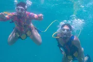 Kauai SNUBA Diving Experience thumbnail 5