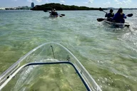 Tarpon Springs Clear Kayak Tour thumbnail 5