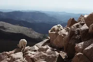 Denver Alpine Summit & Red Rocks Tour thumbnail 1