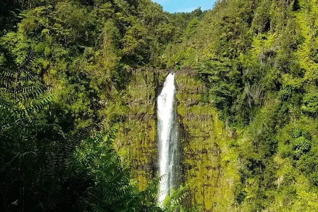 Kona Private VAN Tour - Image 6