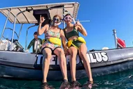 Honolulu Snorkel Tour at Turtle Canyon 90 min thumbnail 6