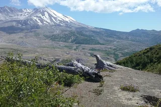 Mt St Helens Day Trip