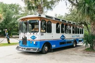 Savannah Tybee Island Dolphin Cruise thumbnail 4