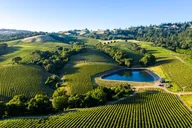 Napa and Sonoma Wine Tour from SFO thumbnail 6