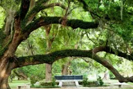 New Orleans City and Cemetery Tour with Garden District Stroll thumbnail 5