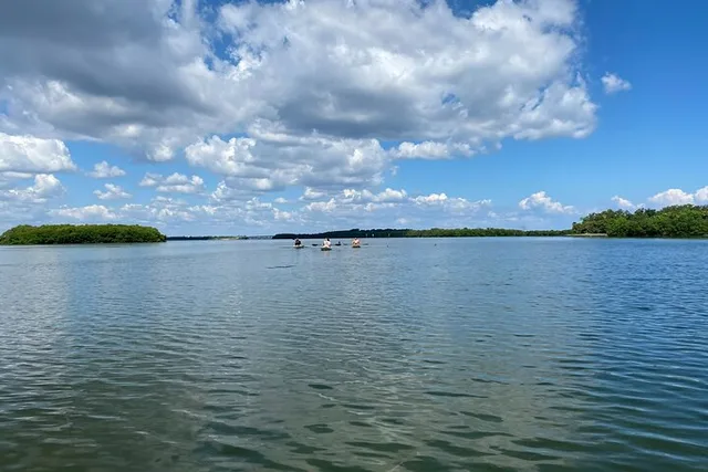 Tierra Verde Kayak Adventure at Shell Key Preserve - Image 5