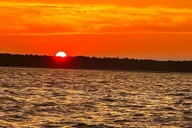Hilton Head Dolphin Cruise at Sunset 2 hr thumbnail 5