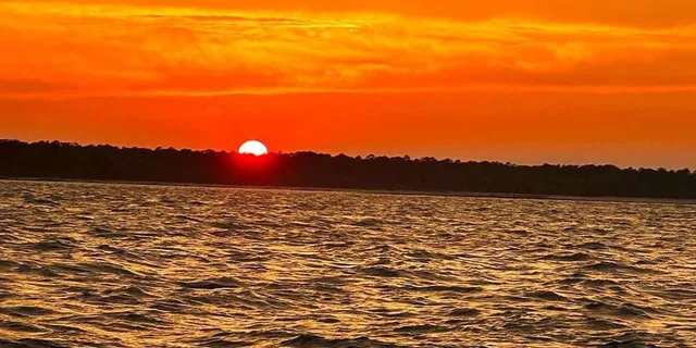 Hilton Head Dolphin Cruise at Sunset 2 hr - Image 5