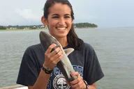 Hilton Head Island Inshore Shark Fishing Trip 3 hr thumbnail 4
