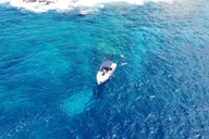 Big Island Private Boat Charter thumbnail 6