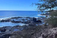 Kauai Canyons & Coastlines Tour thumbnail 5