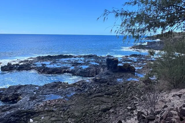 Kauai Canyons & Coastlines Tour - Image 5
