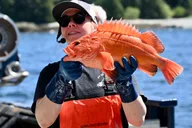 Ketchikan Bering Sea Crab Fisherman's Tour 3 hr thumbnail 3