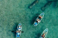Palm Beach Clear Kayak Tour of Peanut Island thumbnail 1