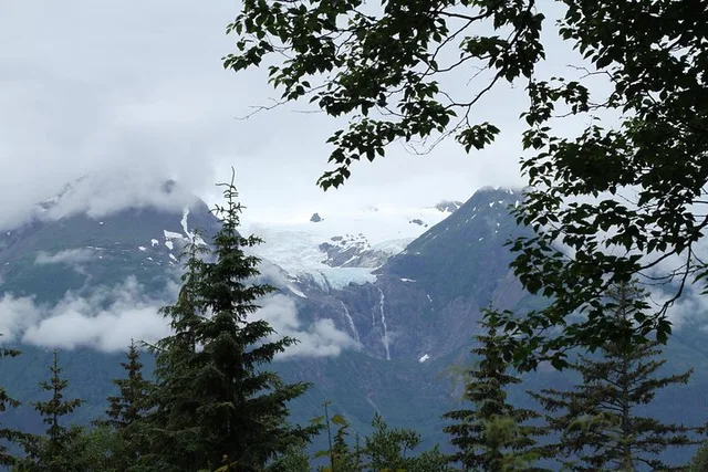 Haines Coastal Hike - Image 3