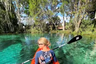 Crystal River Kayak and Swim Tour of Three Sisters Springs thumbnail 1