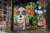 Midtown Mural Pedicab Tour thumbnail 1