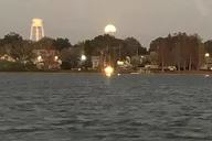 Winter Haven Scenic Pontoon Cruise 1 hr thumbnail 5