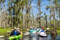 New Orleans Manchac Swamp Kayak Tour thumbnail 4