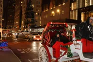 New York City Christmas Lights Carriage Ride thumbnail 4