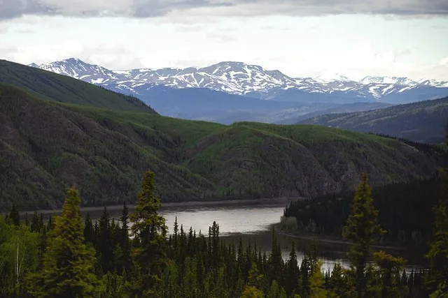 Fairbanks Arctic Circle Day Tour - Image 1