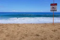 North Shore Transportation thumbnail 3