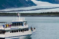 Seward Wildlife Cruise in Spring - 4 hr thumbnail 5
